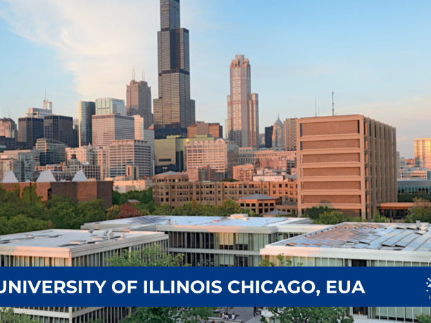 University of Illinois Chicago, EUA - Business course image